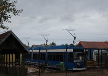 IMG_0132.jpg