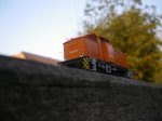 Afbeelding 528.jpg