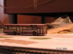 PICT0995.jpg