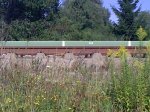 29072009437.jpg