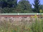 29072009438.jpg
