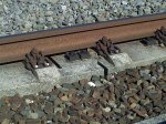29072009448.jpg