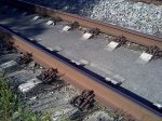 29072009453.jpg