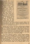 Kopie von Artikel(03).jpg