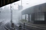 Bild1-9007.jpg
