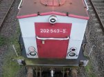 Afbeelding 3313.jpg