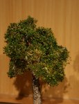 Baum 10 cm.jpg