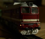 CIMG1760.JPG
