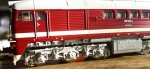 CIMG1763.JPG