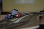 IMG_1184.jpg