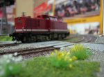 IMG_0006_2.jpg