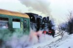 94 1292 am 1.4.95 in Schleusingerneuendorf 4.jpg