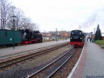 994802-Binz-6.jpg