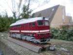 Afbeelding 4428.jpg