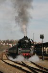 IMG_9558_1.jpg