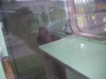 Afbeelding 1115.jpg