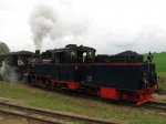 mesendorf 2010 086.jpg