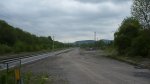 P1000674-1.jpg