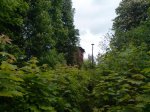 DSC02976.jpg