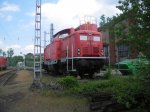 Afbeelding 4958.jpg