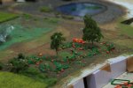 IMG_4272.jpg