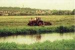 Belarus bei Schönfeld 18.07.2009.jpg