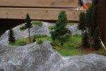 IMG_4387.jpg