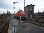 P1020900.1.jpg