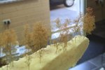 IMG_4670.jpg