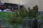 IMG_4676.jpg