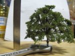 Buche 3.jpg