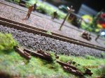 k-IMG_1546.jpg