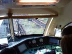 DSC00308.jpg
