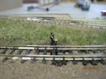 k-IMG_1737.jpg