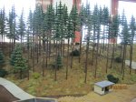 k-IMG_1741.jpg