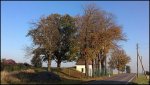 18102010022.JPG