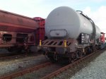 IMG00742-20101107-1435_800x600.jpg