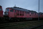 IMGP9962.jpg