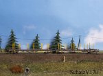 _B180010a.JPG