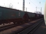 IMG02306-20110322-0752.jpg