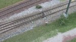 Muenchen 1.jpg