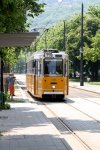 t04.jpg