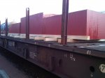 IMG02264-20110321-0728.jpg