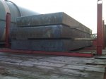 IMG02271-20110321-0733.jpg