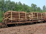 Holz-1.jpg