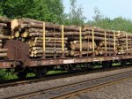 Holz-5.jpg