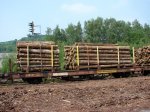 Holz-2.jpg