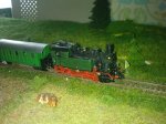 DEW T3.jpg