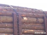10.09.24 09 Löbau.jpg