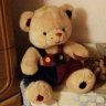 Teddybär
